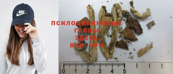 амф Богородицк