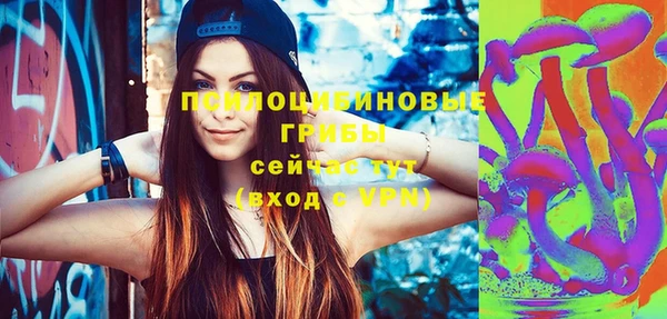 шишки Богородск