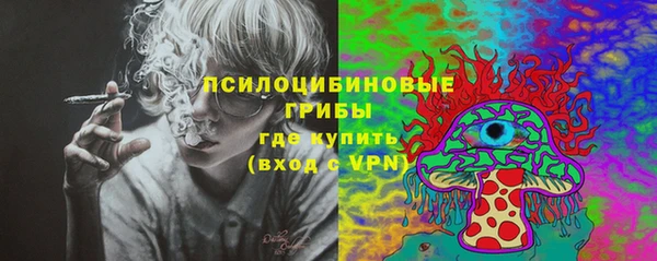 хмурый Бронницы