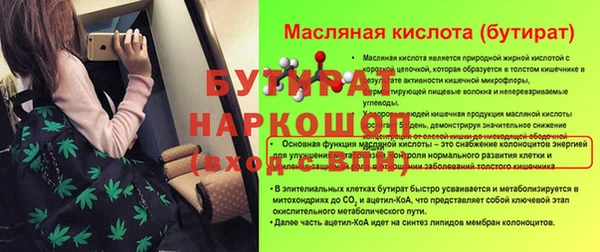 шишки Богородск