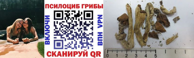 Галлюциногенные грибы Cubensis  Купить  Макарьев 